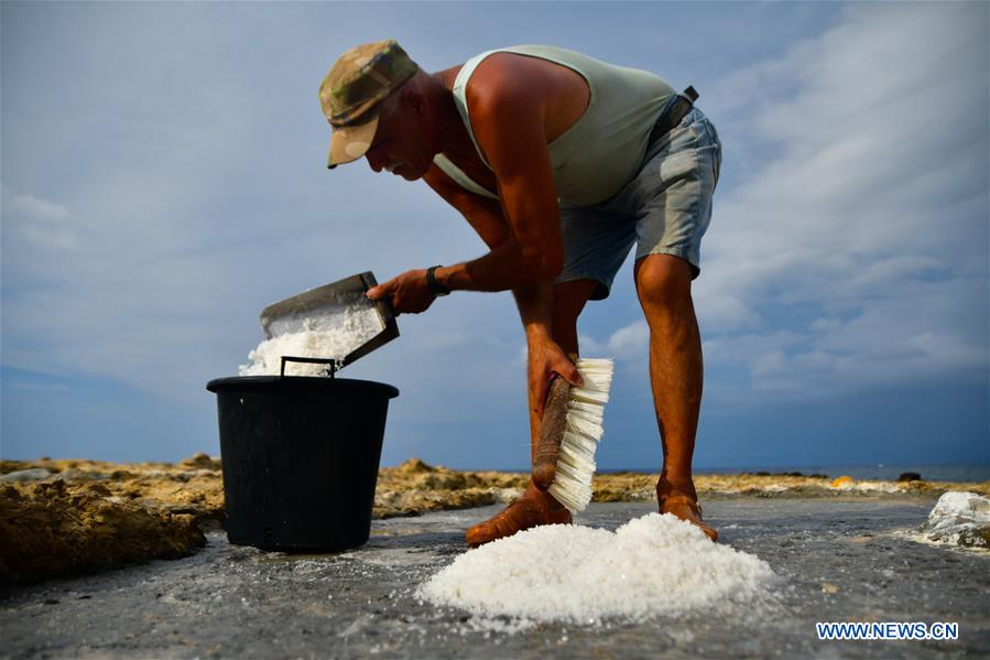 MALTA-GOZO-SEA SALT-HARVEST