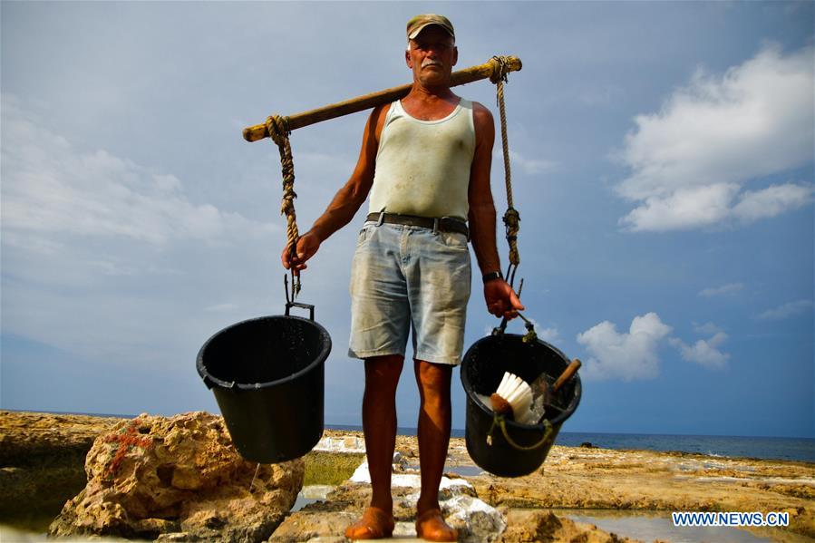 MALTA-GOZO-SEA SALT-HARVEST