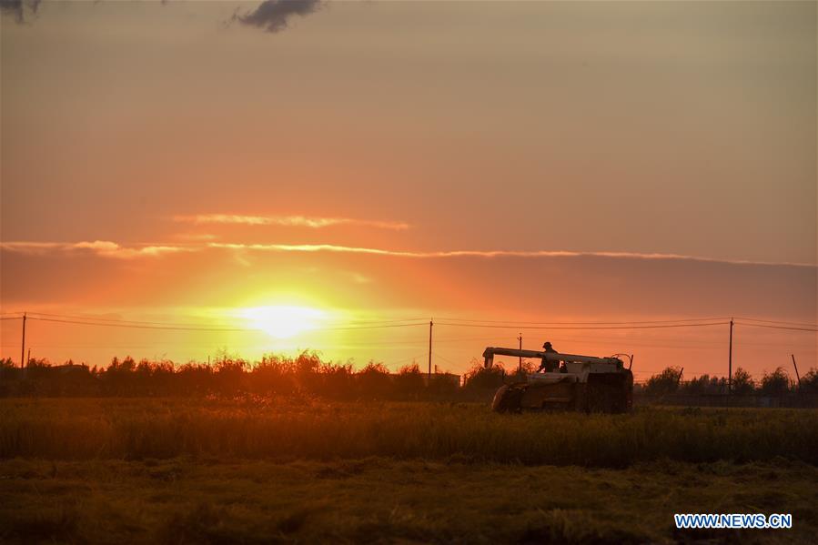 XINHUA PHOTOS OF THE DAY