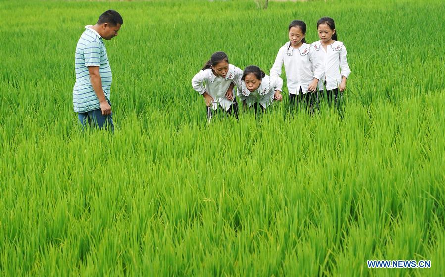 CHINA-JIANGXI-GANZHOU-FAMILY OF QUADRUPLETS-POVERTY ALLEVIATION (CN)