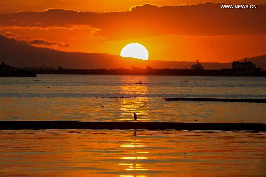 XINHUA PHOTOS OF THE DAY