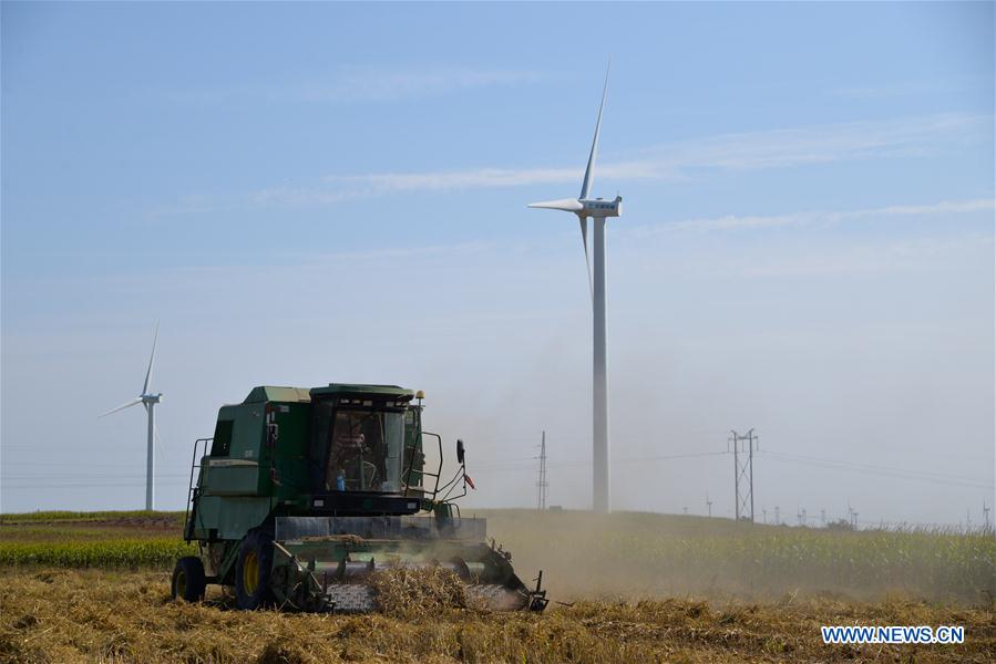 CHINA-INNER MONGOLIA-HINGGAN LEAGUE-HARVEST (CN)