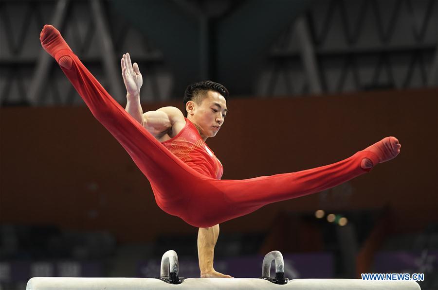 (SP)CHINA-GUANGDONG-ZHAOQING-ARTISTIC GYMNASTICS-CHINESE NATIONAL CHAMPIONSHIPS-POMMEL HORSE FINAL-MEN(CN)