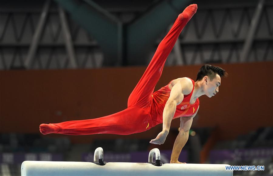 (SP)CHINA-GUANGDONG-ZHAOQING-ARTISTIC GYMNASTICS-CHINESE NATIONAL CHAMPIONSHIPS-POMMEL HORSE FINAL-MEN(CN)