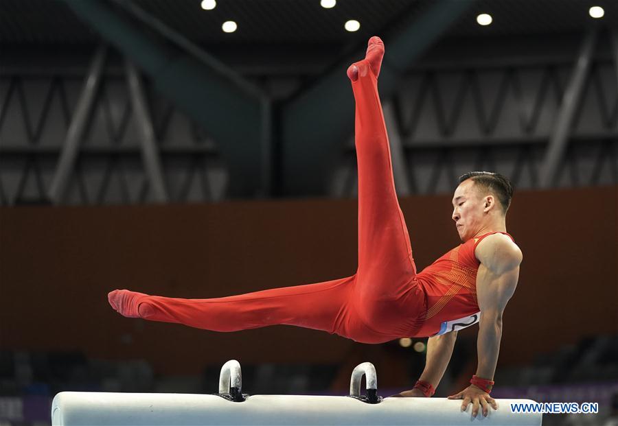 (SP)CHINA-GUANGDONG-ZHAOQING-ARTISTIC GYMNASTICS-CHINESE NATIONAL CHAMPIONSHIPS-POMMEL HORSE FINAL-MEN(CN)