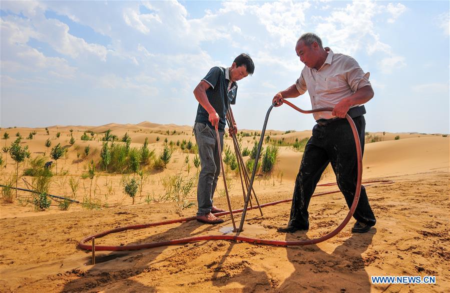 CHINA-INNER MONGOLIA-KUBUQI DESERT-AFFORESTATION (CN)