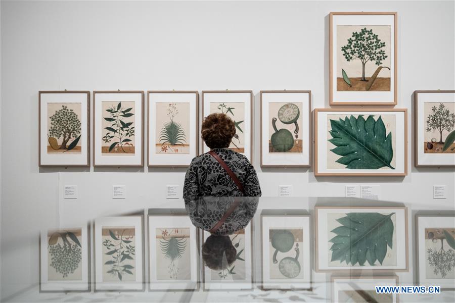 SPAIN-MADRID-ASIAN BOTANICAL ART-EXHIBITION