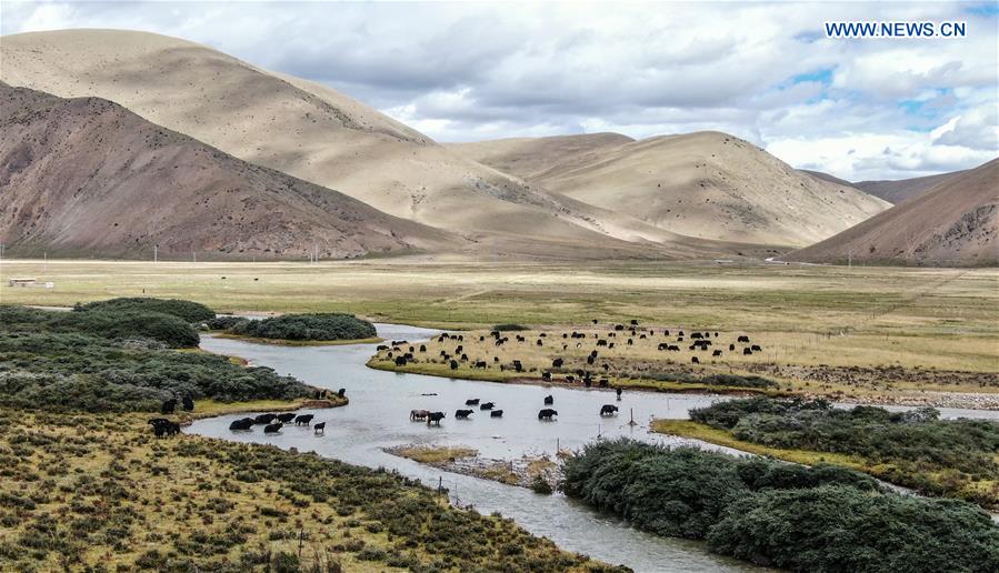 (InTibet)CHINA-TIBET-QAMDO-70TH ANNIVERSARY-LIBERATION (CN)