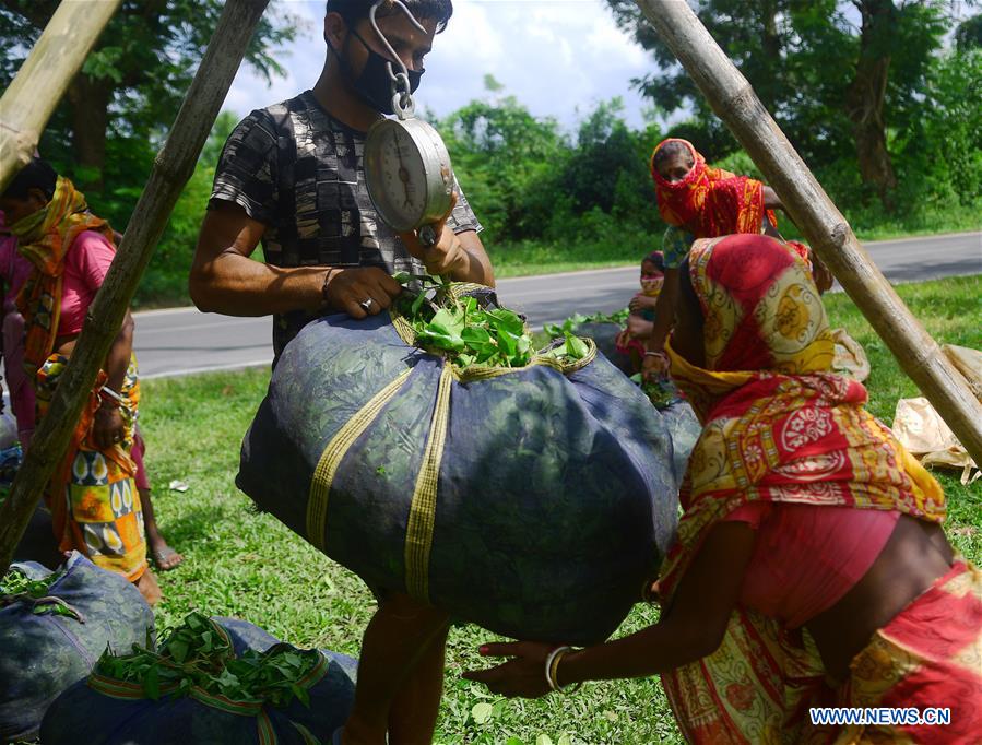 INDIA-AGARTALA-TEA GARDEN WORKERS