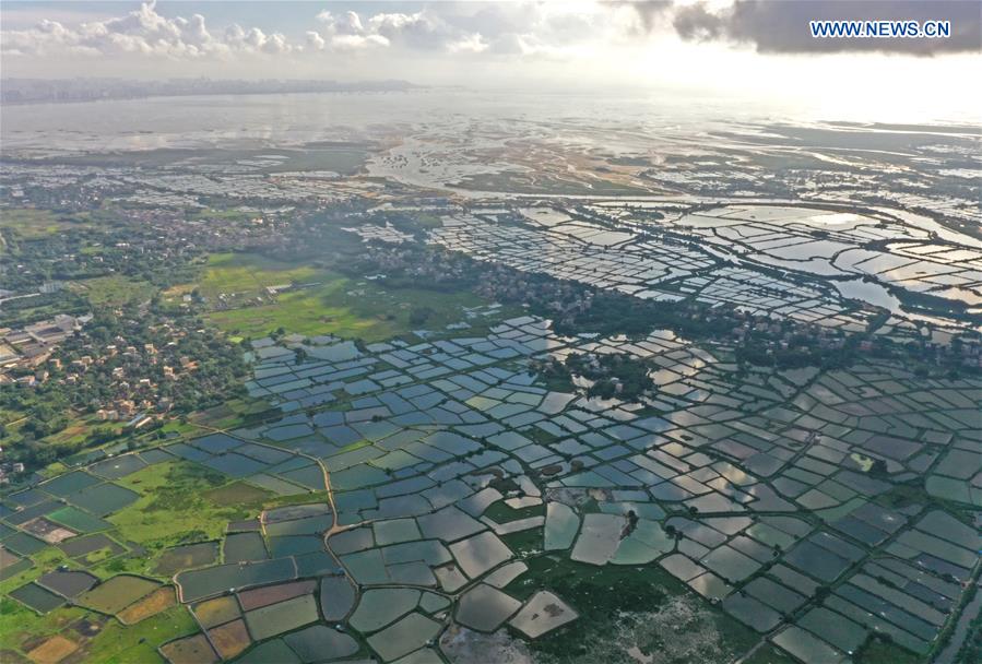 CHINA-GUANGXI-SHRIMP PONDS-SCENERY