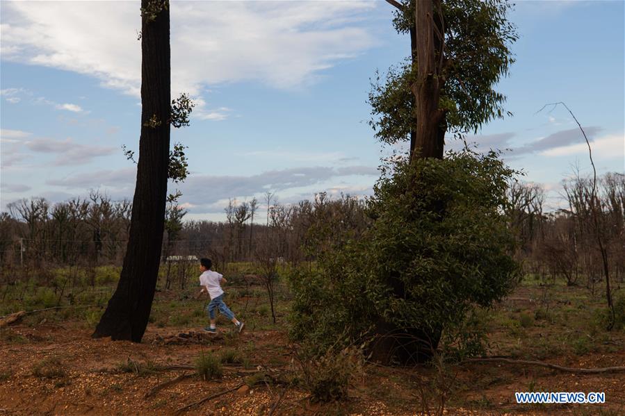 AUSTRALIA-BUSHFIRE-FOREST