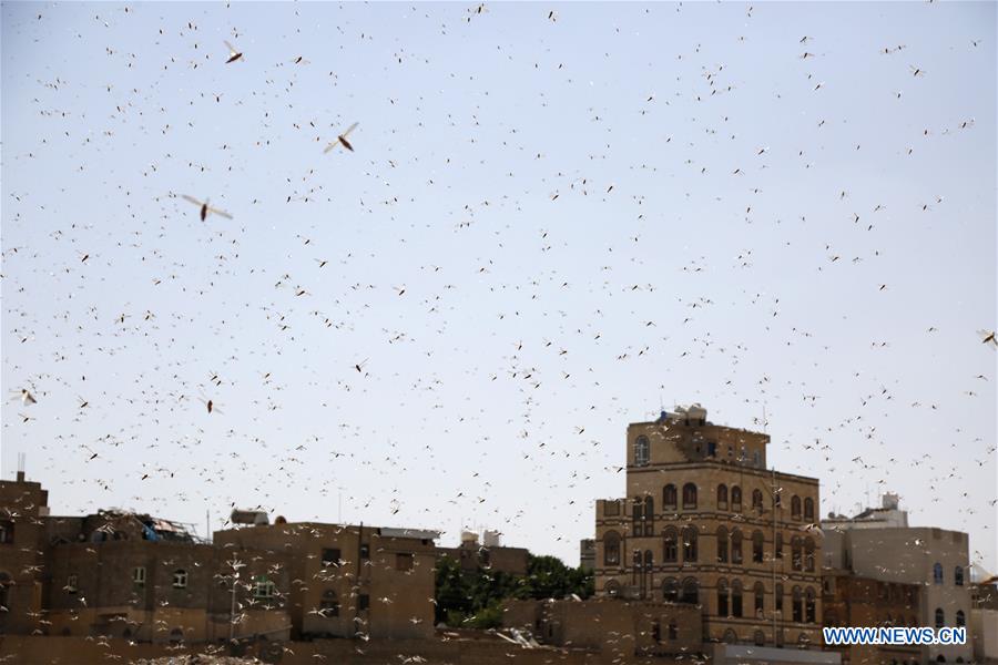 XINHUA PHOTOS OF THE DAY