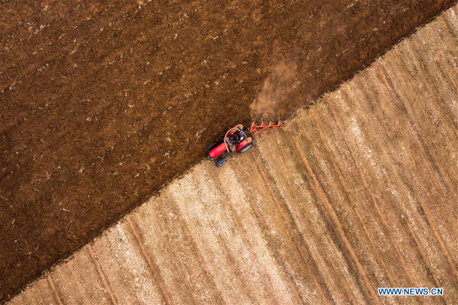 CHINA-HEBEI-WUAN-FARM WORK (CN)