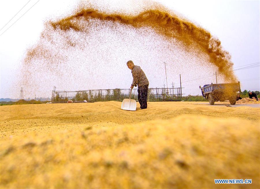 CHINA-HEBEI-WUAN-FARM WORK (CN)