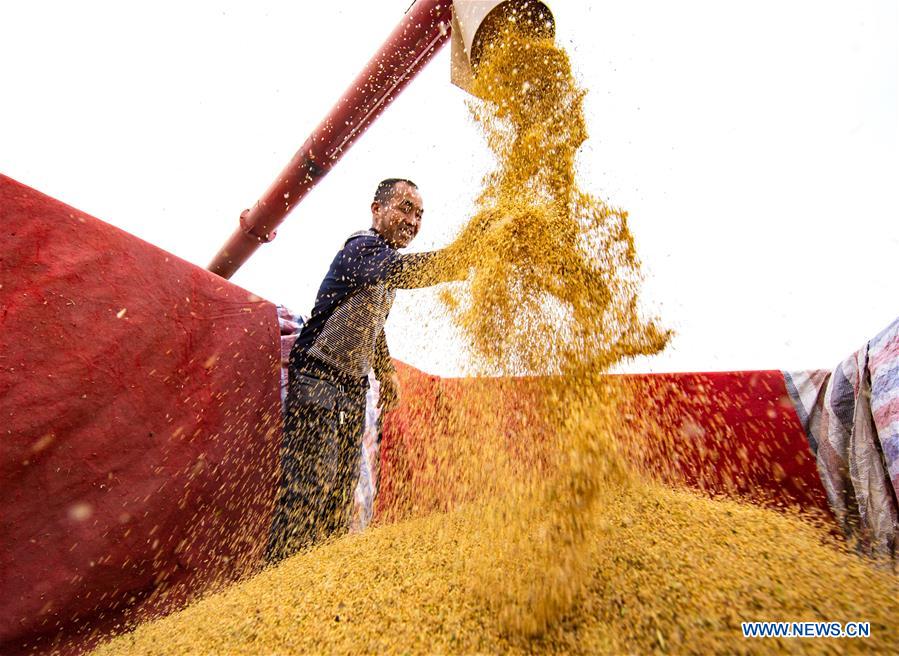 CHINA-HEBEI-WUAN-FARM WORK (CN)