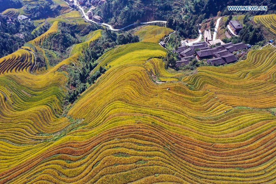 #CHINA-GUANGXI-LONGSHENG-TERRACED FIELDS (CN)