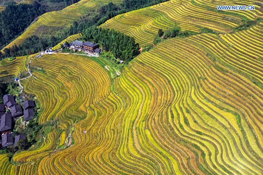 #CHINA-GUANGXI-LONGSHENG-TERRACED FIELDS (CN)