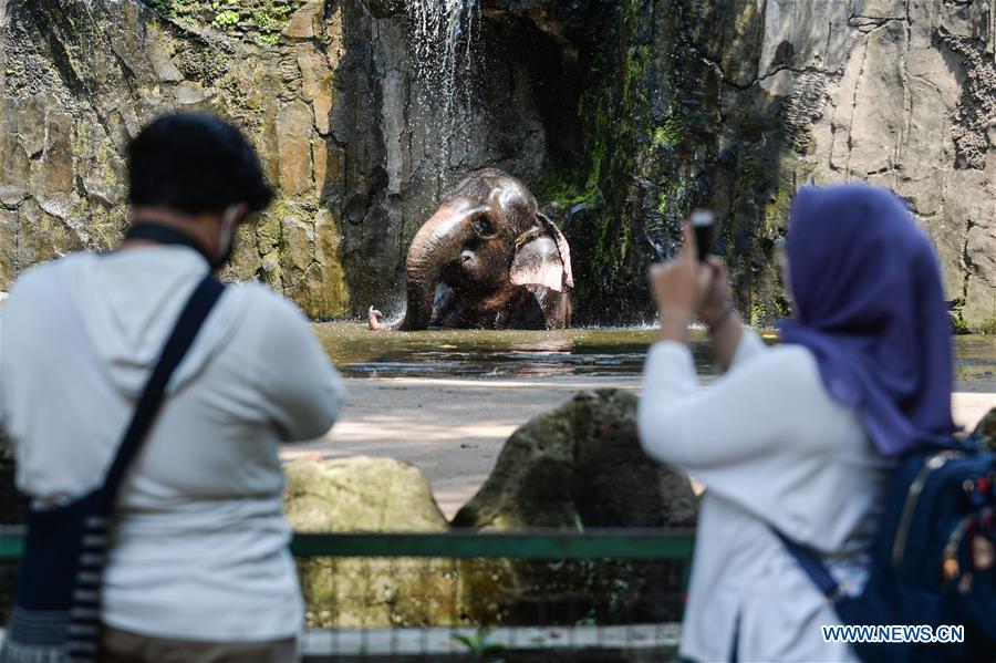 INDONESIA-JAKARTA-RAGUNAN ZOO-REOPENING