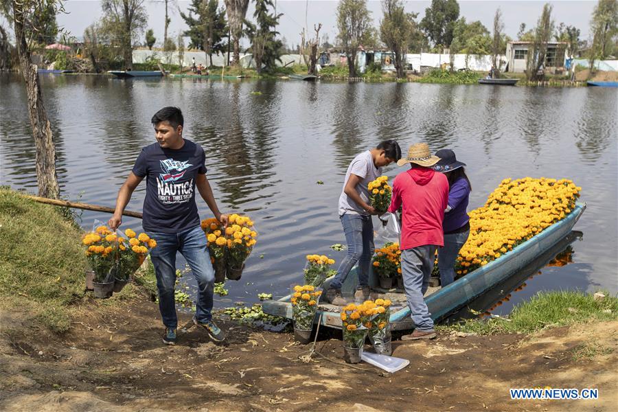 MEXICO-MEXICO CITY-XOCHIMILCO-CEMPASUCHIL