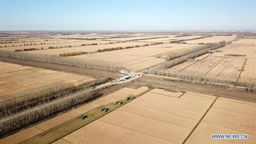 CHINA-HEILONGJIANG-RICE HARVEST (CN)