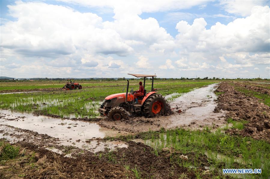 UGANDA-KALUNGU-CHINESE-OWNED RICE FARM