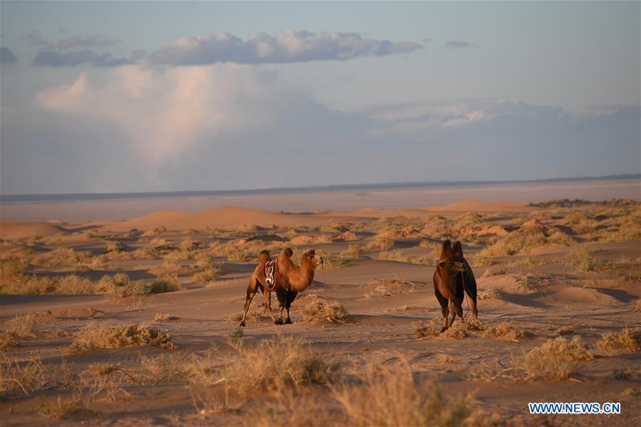 CHINA-INNER MONGOLIA-BADAIN JARAN DESERT (CN)