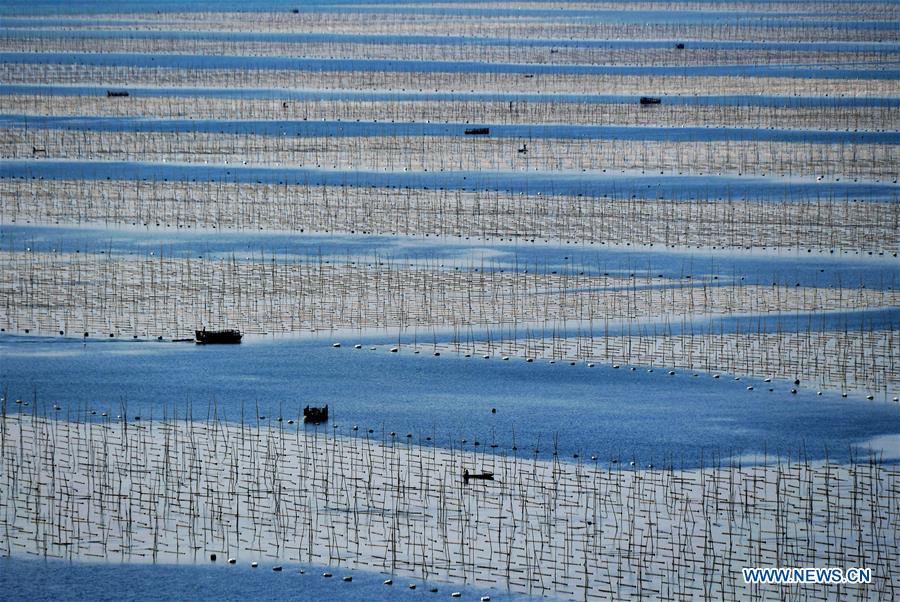 XINHUA PHOTOS OF THE DAY