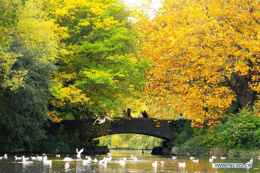 IRELAND-DUBLIN-AUTUMN SCENERY