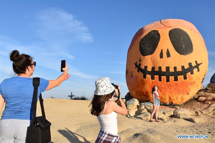 U.S.-CALIFORNIA-NORCO-PUMPKIN ROCK