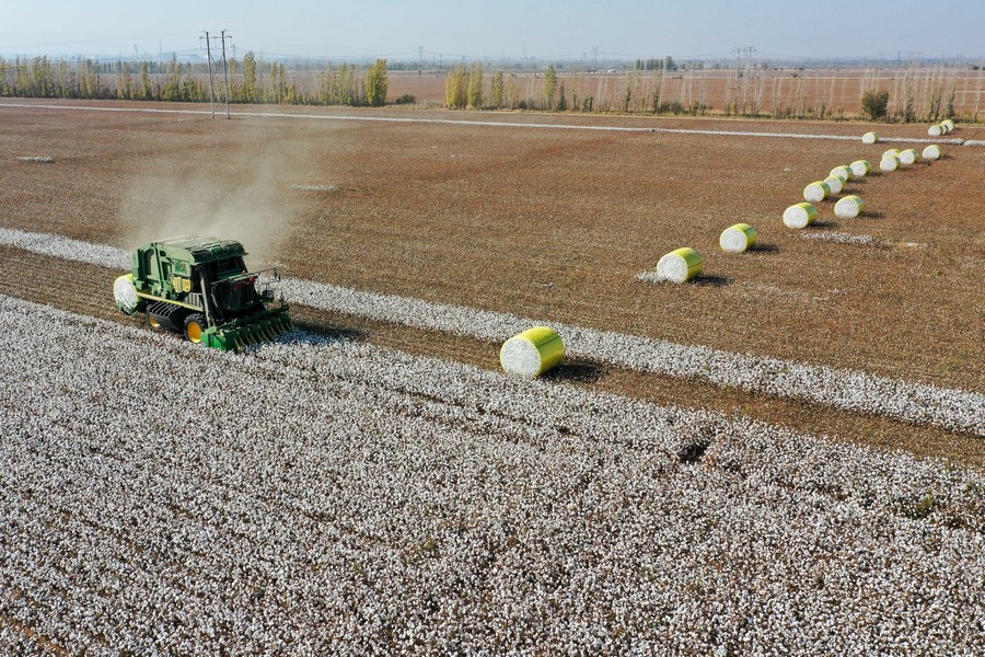 2.7 Million Cotton Farmers Grow Nearly a Quarter of Global Cotton