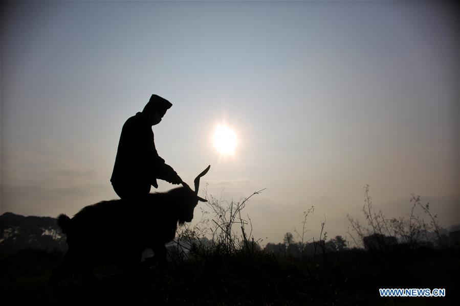 NEPAL-BHAKTAPUR-GOAT-DASHAIN