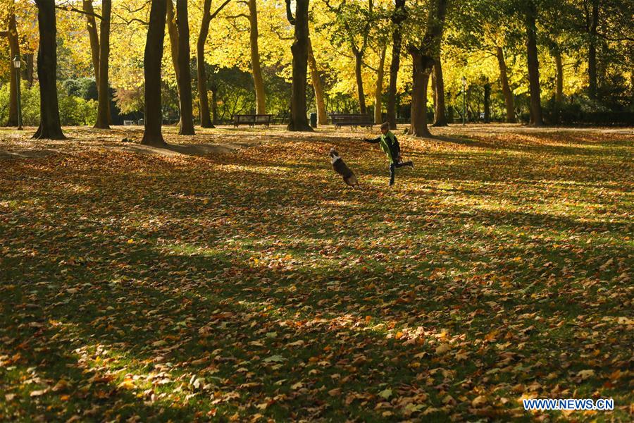 BELGIUM-BRUSSELS-AUTUMN