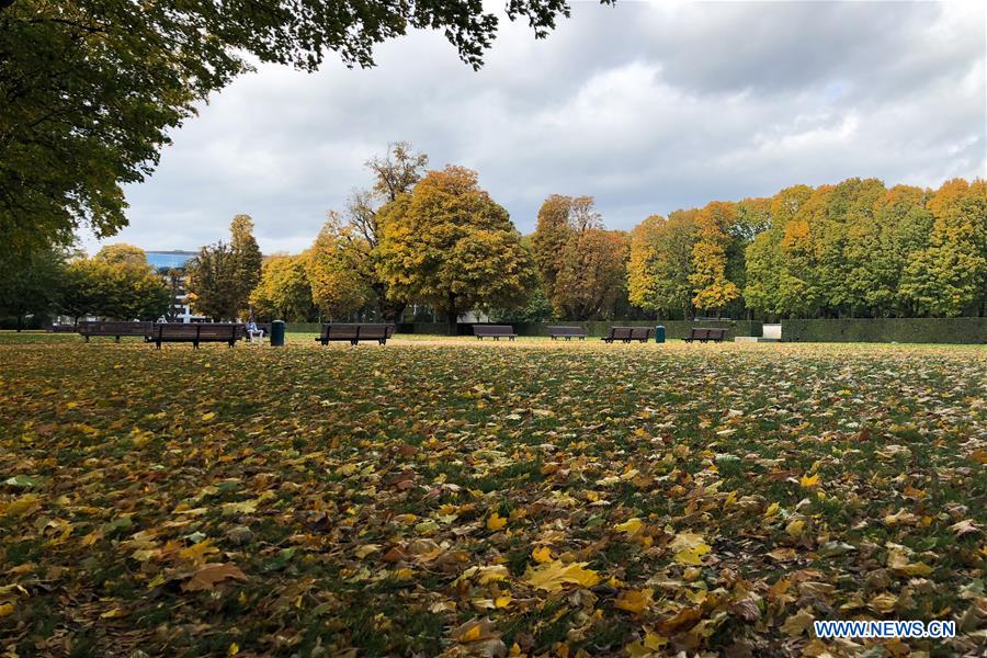 BELGIUM-BRUSSELS-AUTUMN