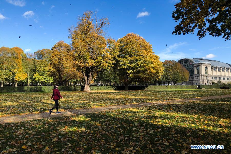 BELGIUM-BRUSSELS-AUTUMN