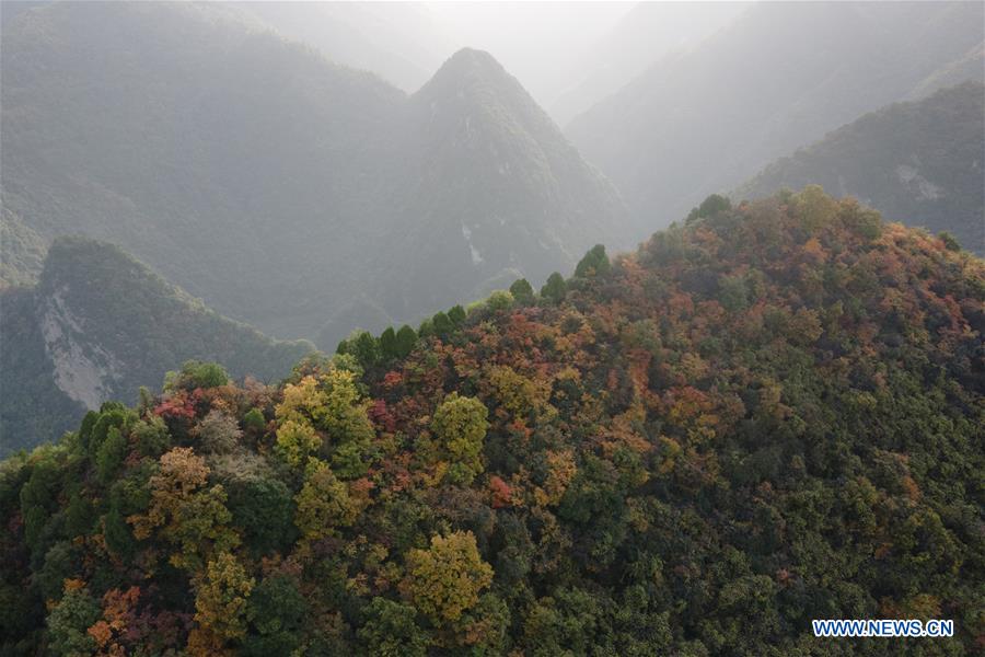 CHINA-SHAANXI-QINLING MOUNTAINS-LANDSCAPE (CN)