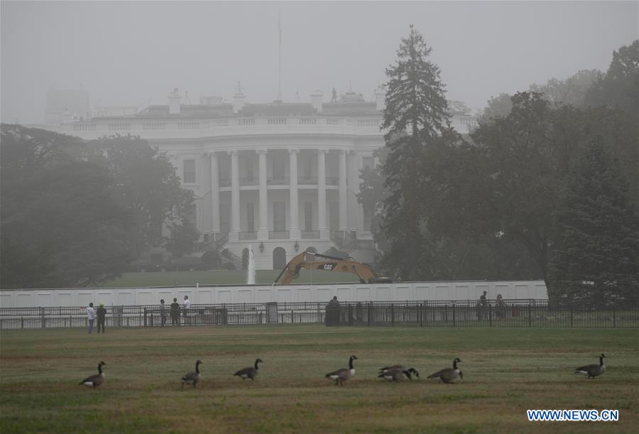 U.S.-WASHINGTON D.C.-FOG