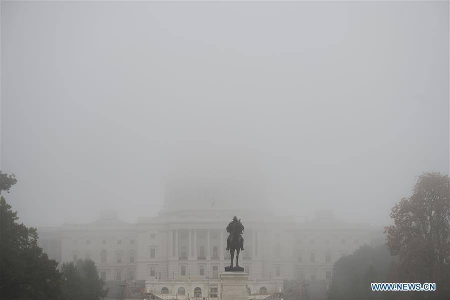 U.S.-WASHINGTON D.C.-FOG