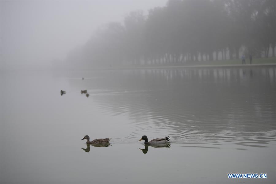 U.S.-WASHINGTON D.C.-FOG