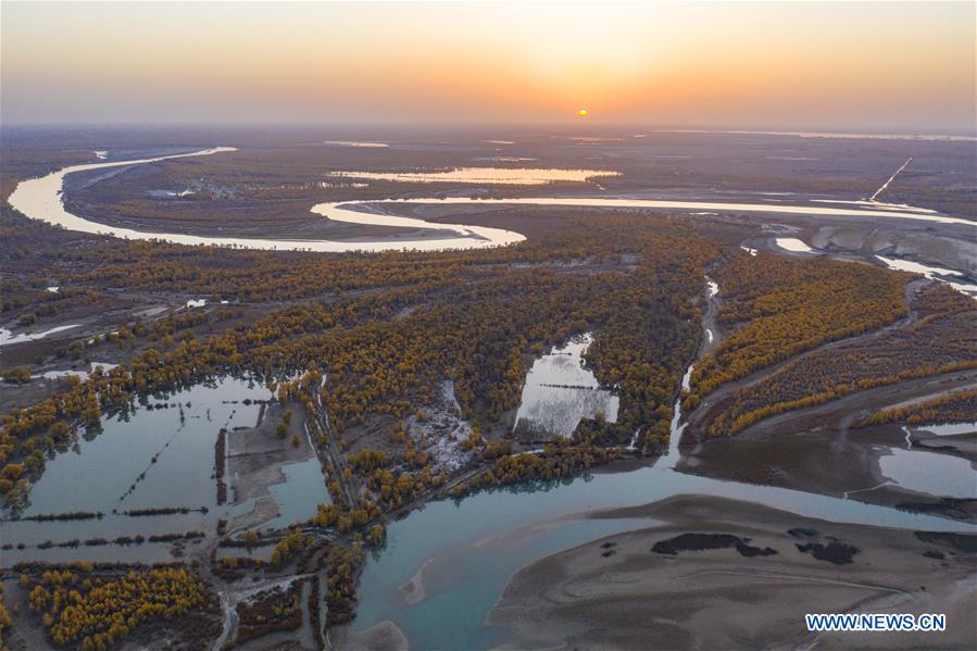 CHINA-XINJIANG-TARIM RIVER-DESERT POPLAR-AUTUMN SCENERY (CN)