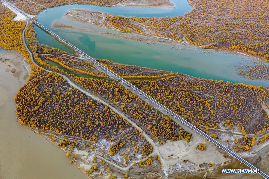 CHINA-XINJIANG-TARIM RIVER-DESERT POPLAR-AUTUMN SCENERY (CN)