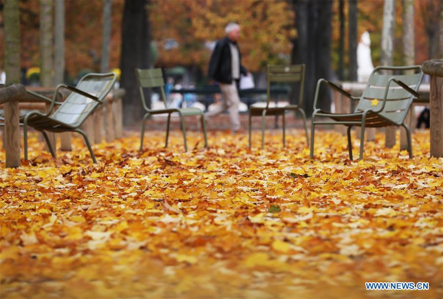 FRANCE-PARIS-AUTUMN-SCENERY