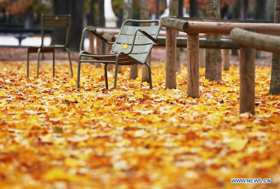 FRANCE-PARIS-AUTUMN-SCENERY