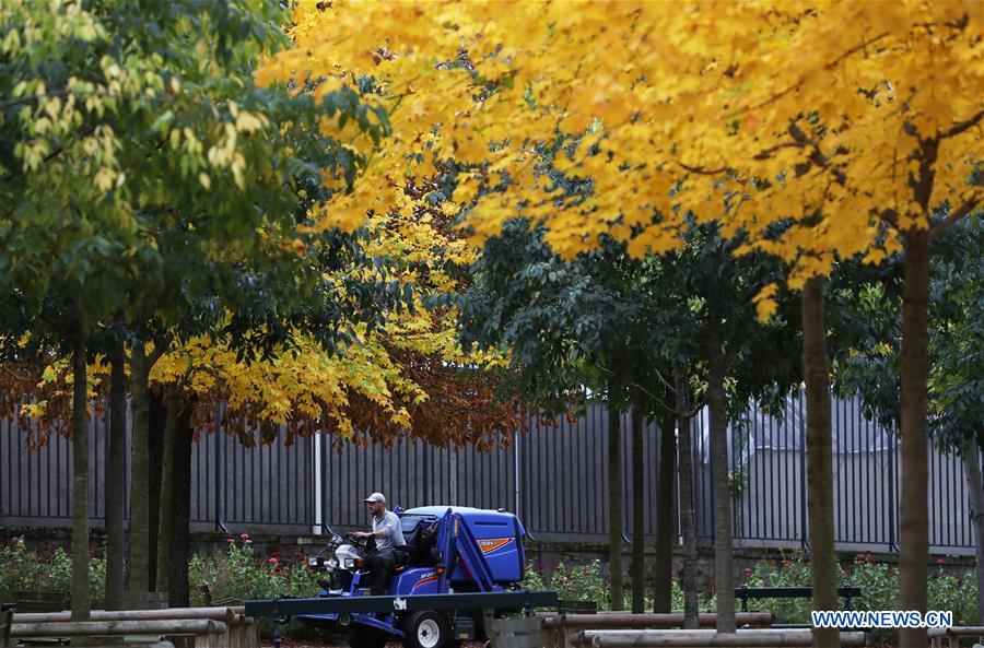 FRANCE-PARIS-AUTUMN-SCENERY