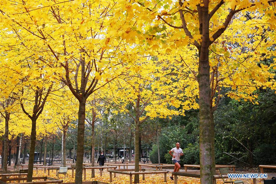 FRANCE-PARIS-AUTUMN-SCENERY