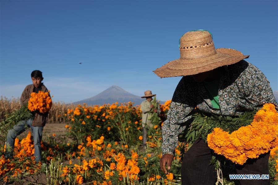 MEXICO-PUEBLA-CEMPASUCHIL