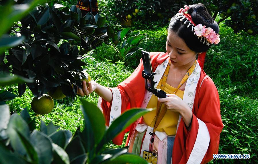 CHINA-HAINAN-QIONGZHONG-GREEN ORANGE-MARKET SEASON