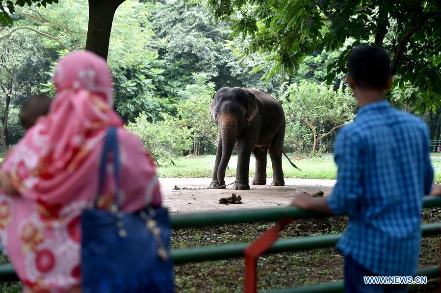 BANGLADESH-DHAKA-ZOO-REOPENING