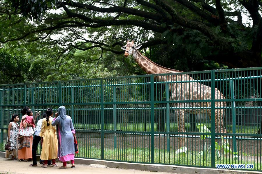 BANGLADESH-DHAKA-ZOO-REOPENING