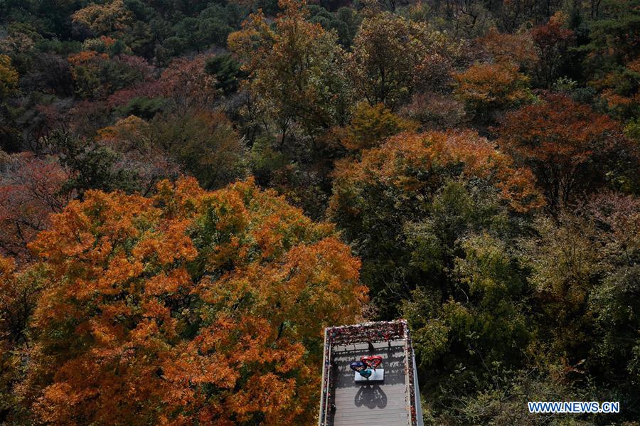 SOUTH KOREA-SEOUL-AUTUMN SCENERY