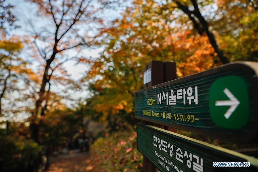 SOUTH KOREA-SEOUL-AUTUMN SCENERY